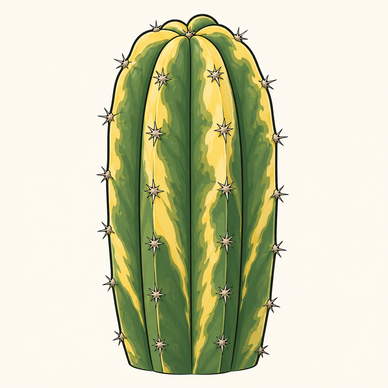 A variegated San Pedro cactus streaked with green and yellow